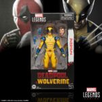 Figura de acción articulada de 16 cm del personaje WOLVERINE MOVIE 2024 MARVEL LEGENDS SERIES de HASBRO