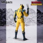 Figura de acción articulable de 15 cm de WOLVERINE MOVIE 2024 DEADPOOL & WOLVERINE SH FIGUARTS de TAMASHII NATIONS