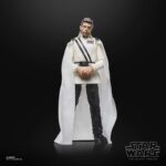 Figura de acción articulada de 16 cm del personaje DIRECTOR ORSON KRENNIC BLACK SERIES STAR WARS (Dress Uniform) de HASBRO