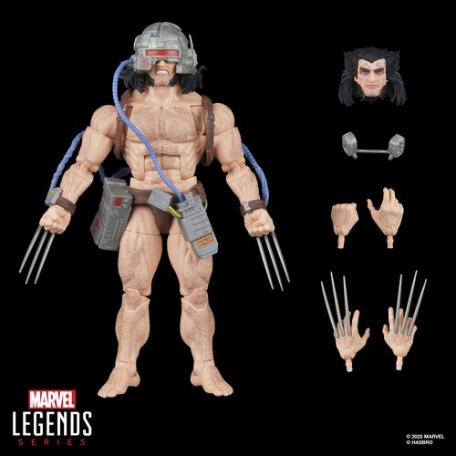 Figura de acción articulada de 16 cm del personaje WOLVERINE WEAPON X MARVEL LEGENDS de HASBRO