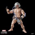 Figura de acción articulada de 16 cm del personaje WOLVERINE WEAPON X MARVEL LEGENDS de HASBRO
