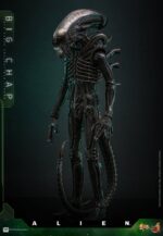 BIG CHAP ALIEN MOVIE MASTERPIECE HOT TOYS 1/6. La saga cinematográfica Alien se ha convertido en un pilar fundamental del género de ciencia ficción, con la clásica película Alien de 1979 a la cabeza. «Big Chap» es el popular apodo del dron Xenomorfo en esta icónica película. Creada por el visionario H.R. Giger, esta escalofriante criatura captura la esencia del miedo con su aspecto elegante y biomecánico y su cabeza larga y amenazante. Como auténtico símbolo del terror primitivo, Big Chap ha cautivado al público durante décadas, consolidando su lugar en la historia del terror de ciencia ficción. Hoy, Hot Toys se complace en presentar la figura coleccionable Big Chap de Alien a escala 1/6, que da vida a este clásico personaje con un mayor nivel de detalle y realismo.