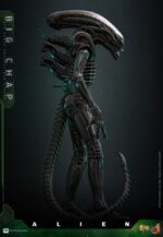 BIG CHAP ALIEN MOVIE MASTERPIECE HOT TOYS 1/6. La saga cinematográfica Alien se ha convertido en un pilar fundamental del género de ciencia ficción, con la clásica película Alien de 1979 a la cabeza. «Big Chap» es el popular apodo del dron Xenomorfo en esta icónica película. Creada por el visionario H.R. Giger, esta escalofriante criatura captura la esencia del miedo con su aspecto elegante y biomecánico y su cabeza larga y amenazante. Como auténtico símbolo del terror primitivo, Big Chap ha cautivado al público durante décadas, consolidando su lugar en la historia del terror de ciencia ficción. Hoy, Hot Toys se complace en presentar la figura coleccionable Big Chap de Alien a escala 1/6, que da vida a este clásico personaje con un mayor nivel de detalle y realismo.