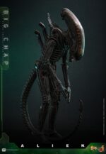 BIG CHAP ALIEN MOVIE MASTERPIECE HOT TOYS 1/6. La saga cinematográfica Alien se ha convertido en un pilar fundamental del género de ciencia ficción, con la clásica película Alien de 1979 a la cabeza. «Big Chap» es el popular apodo del dron Xenomorfo en esta icónica película. Creada por el visionario H.R. Giger, esta escalofriante criatura captura la esencia del miedo con su aspecto elegante y biomecánico y su cabeza larga y amenazante. Como auténtico símbolo del terror primitivo, Big Chap ha cautivado al público durante décadas, consolidando su lugar en la historia del terror de ciencia ficción. Hoy, Hot Toys se complace en presentar la figura coleccionable Big Chap de Alien a escala 1/6, que da vida a este clásico personaje con un mayor nivel de detalle y realismo.