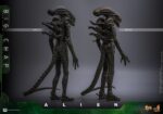 BIG CHAP ALIEN MOVIE MASTERPIECE HOT TOYS 1/6. La saga cinematográfica Alien se ha convertido en un pilar fundamental del género de ciencia ficción, con la clásica película Alien de 1979 a la cabeza. «Big Chap» es el popular apodo del dron Xenomorfo en esta icónica película. Creada por el visionario H.R. Giger, esta escalofriante criatura captura la esencia del miedo con su aspecto elegante y biomecánico y su cabeza larga y amenazante. Como auténtico símbolo del terror primitivo, Big Chap ha cautivado al público durante décadas, consolidando su lugar en la historia del terror de ciencia ficción. Hoy, Hot Toys se complace en presentar la figura coleccionable Big Chap de Alien a escala 1/6, que da vida a este clásico personaje con un mayor nivel de detalle y realismo.