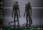 BIG CHAP ALIEN MOVIE MASTERPIECE HOT TOYS 1/6. La saga cinematográfica Alien se ha convertido en un pilar fundamental del género de ciencia ficción, con la clásica película Alien de 1979 a la cabeza. «Big Chap» es el popular apodo del dron Xenomorfo en esta icónica película. Creada por el visionario H.R. Giger, esta escalofriante criatura captura la esencia del miedo con su aspecto elegante y biomecánico y su cabeza larga y amenazante. Como auténtico símbolo del terror primitivo, Big Chap ha cautivado al público durante décadas, consolidando su lugar en la historia del terror de ciencia ficción. Hoy, Hot Toys se complace en presentar la figura coleccionable Big Chap de Alien a escala 1/6, que da vida a este clásico personaje con un mayor nivel de detalle y realismo.