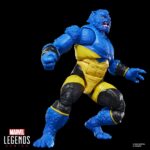 BEAST X-MEN ASTONISHING MARVEL LEGENDS SERIES. Se une a la línea Marvel Legends Series la figura del mutante Bestia. Mide 15 cm y cuenta con más de 20 puntos de articulación. Está inspirada en su apariencia en los cómics "Astonishing X-Men". Incluye 1x cabeza alternativa, 1x par de manos extras y 1x réplica a escala del cómic con la portada de "Astonishing X-Men Saga" de 2006. Cuenta con más de 20 puntos de articulación para recrear poses dinámicas. Se presenta en un blíster ilustrado estilo retro. UNIDADES LIMITADAS