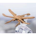 MEGAGUIRUS GODZILLA VS MEGAGUIRUS SH MONSTER ARTS. En el universo de Godzilla, Megaguirus es un temible kaiju nacido de la evolución de Meganulon y Meganula. Este monstruo alado, parecido a un insecto, es rápido y agresivo, y drena la energía de sus enemigos para desatar un poder devastador. Con su diseño insectoide y sus enormes alas, Megaguirus destaca como uno de los enemigos más singulares de Godzilla. El «Evolution Set» de la línea S.H. MonsterArts captura el ciclo de vida completo de la criatura. Incluye varias figuras de Meganulon y Meganula, junto con Megaguirus en su forma adulta, representado en pleno vuelo sobre un soporte transparente. El set permite a los coleccionistas recrear la progresión del monstruo desde la larva que se arrastra hasta la destructiva etapa final. La figura principal de Megaguirus presenta texturas finamente esculpidas, un cuerpo detallado y alas extendidas con llamativos reflejos rojos y negros. Las criaturas más pequeñas están cuidadosamente elaboradas para complementar la exposición, mientras que la base transparente realza la impresión de movimiento aéreo. Con una altura aproximada de 21 cm, este set de PVC pertenece a la serie S.H. MonsterArts de Bandai, famosa por su precisión y sus acabados de alta calidad. Es una pieza imprescindible tanto para los entusiastas de los kaiju como para los fans de Godzilla.