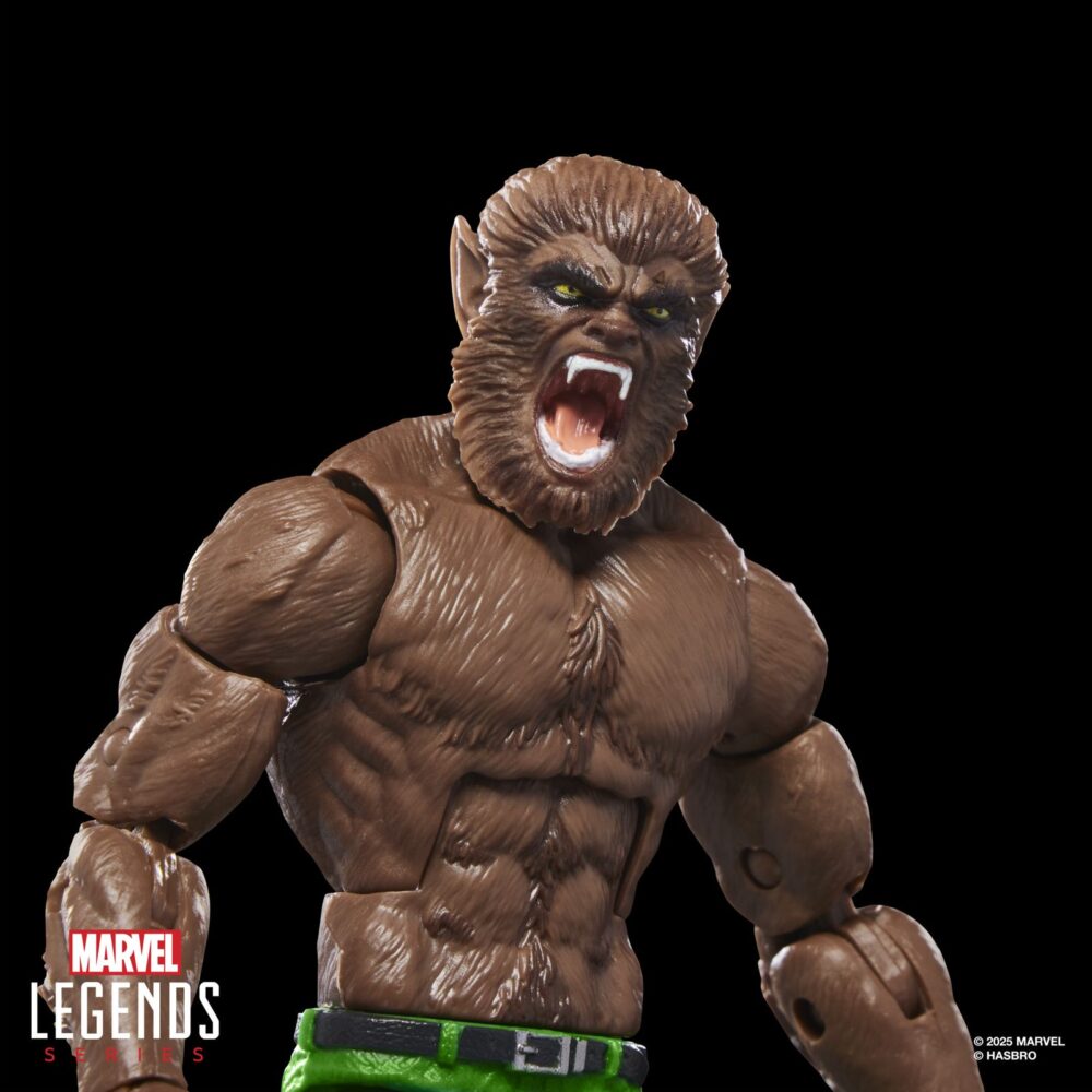 Werewolf by night marvel legends series (executioner baf). Hasbro lanza dentro de su colección marvel legends series la figura de jack russell transformado en hombre lobo al exponerse a la luna llena como ocurre en los comics de marvel. Esta figura articulada de 15 cm está acompañada por 1x brazo izquierdo y 1x mano alternativa de una figura adicional. Colecciona el resto de personajes de esta serie para conseguir todas las piezas necesarias para montar la figura de executioner. Todo se presenta en una caja con ventana.   unidades limitadas.
