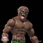 WEREWOLF BY NIGHT MARVEL LEGENDS SERIES (EXECUTIONER BAF). Hasbro lanza dentro de su colección Marvel Legends Series la figura de Jack Russell transformado en hombre lobo al exponerse a la luna llena como ocurre en los comics de Marvel. Esta figura articulada de 15 cm está acompañada por 1x brazo izquierdo y 1x mano alternativa de una figura adicional. Colecciona el resto de personajes de esta serie para conseguir todas las piezas necesarias para montar la figura de Executioner. Todo se presenta en una caja con ventana.  UNIDADES LIMITADAS.