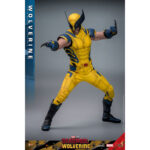 WOLVERINE DEADPOOL & WOLVERINE MOVIE MASTERPIECE 1/6 HOT TOYS. Sumérgete en el universo Marvel con esta excepcional figura de Lobezno, de la película «Deadpool y Lobezno». Fabricada por Hot Toys para la colección Movie Masterpiece, esta figura a escala 1/6 mide 31 cm de altura y ofrece una representación increíblemente detallada de uno de los personajes más emblemáticos del universo Marvel. Wolverine, conocido por sus garras de adamantio y su factor de curación regenerativa, aparece aquí con su icónico traje amarillo, fiel a su aspecto clásico. La figura presenta un impresionante nivel de detalle, desde las texturas realistas del traje hasta las feroces expresiones faciales de Logan. Los accesorios incluidos, como caras intercambiables y garras acoplables, permiten a los coleccionistas personalizar la exposición según sus preferencias. Hot Toys es conocida por sus figuras de alta calidad, y esta versión de Wolverine no es una excepción. Cada aspecto de la figura ha sido meticulosamente esculpido y pintado para capturar la esencia del personaje, desde los músculos definidos hasta los más mínimos detalles de su traje. La postura dinámica de Wolverine, listo para saltar, añade una dimensión de movimiento y energía a esta pieza de coleccionista. La base incluida está decorada con el logotipo de Wolverine y diseños que recuerdan al universo Deadpool, lo que añade un toque extra de realismo y temática. Tanto si eres un fanático de X-Men desde hace mucho tiempo como si eres coleccionista de figuras de Marvel, esta pieza es una valiosa adición a cualquier colección, que celebra el legado perdurable de Wolverine en el universo de los superhéroes.