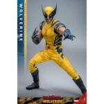 WOLVERINE (DELUXE VERSION) DEADPOOL & WOLVERINE MOVIE MASTERPIECE 1/6 HOT TOYS. Descubre esta magnífica figura Deluxe de Wolverine, de la colección Movie Masterpiece de Hot Toys. Inspirada en la película «Deadpool & Wolverine», esta pieza es una auténtica obra maestra para cualquier coleccionista de productos derivados del universo Marvel. Una fiel representación de Wolverine La figura representa a Wolverine con su icónico traje amarillo y azul, que recuerda los mejores momentos del universo X-Men. La precisión de los detalles de esta figura a escala 1/6 es simplemente impresionante. Con una altura de 31 cm, esta figura captura a la perfección el aura intimidante y el carisma de Logan, alias Wolverine. Características y accesorios Esta versión Deluxe es especialmente rica en detalles y accesorios. La figura viene con varias cabezas intercambiables, incluida una con una máscara completa y otra sin máscara con los rasgos de Hugh Jackman, el icónico actor que interpreta a Wolverine en el cine. Las cabezas cuentan con sistemas de globos oculares móviles para expresiones realistas. Además de las cabezas, esta figura incluye brazos intercambiables, garras desmontables y una armadura de combate desgastada. Los acabados de la ropa, las cicatrices y los detalles musculares son de una calidad excepcional, lo que permite a los fans recrear l Wolverine, conocido como Logan, es uno de los personajes más populares del universo Marvel. Apareció por primera vez en los cómics de la década de 1970 y rápidamente se convirtió en un miembro crucial de los X-Men. Su compleja historia, mezclada con dolor y redención, así como sus garras de adamantio y su rápido factor de curación, lo convierten en un personaje fascinante y formidable. En «Deadpool & Wolverine», Logan sigue mostrando su resistencia y valentía ante el peligro, al tiempo que aporta una profundidad emocional que conmueve a los fans de todas las edades.