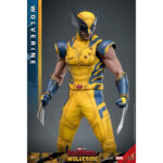 WOLVERINE (DELUXE VERSION) DEADPOOL & WOLVERINE MOVIE MASTERPIECE 1/6 HOT TOYS. Descubre esta magnífica figura Deluxe de Wolverine, de la colección Movie Masterpiece de Hot Toys. Inspirada en la película «Deadpool & Wolverine», esta pieza es una auténtica obra maestra para cualquier coleccionista de productos derivados del universo Marvel. Una fiel representación de Wolverine La figura representa a Wolverine con su icónico traje amarillo y azul, que recuerda los mejores momentos del universo X-Men. La precisión de los detalles de esta figura a escala 1/6 es simplemente impresionante. Con una altura de 31 cm, esta figura captura a la perfección el aura intimidante y el carisma de Logan, alias Wolverine. Características y accesorios Esta versión Deluxe es especialmente rica en detalles y accesorios. La figura viene con varias cabezas intercambiables, incluida una con una máscara completa y otra sin máscara con los rasgos de Hugh Jackman, el icónico actor que interpreta a Wolverine en el cine. Las cabezas cuentan con sistemas de globos oculares móviles para expresiones realistas. Además de las cabezas, esta figura incluye brazos intercambiables, garras desmontables y una armadura de combate desgastada. Los acabados de la ropa, las cicatrices y los detalles musculares son de una calidad excepcional, lo que permite a los fans recrear l Wolverine, conocido como Logan, es uno de los personajes más populares del universo Marvel. Apareció por primera vez en los cómics de la década de 1970 y rápidamente se convirtió en un miembro crucial de los X-Men. Su compleja historia, mezclada con dolor y redención, así como sus garras de adamantio y su rápido factor de curación, lo convierten en un personaje fascinante y formidable. En «Deadpool & Wolverine», Logan sigue mostrando su resistencia y valentía ante el peligro, al tiempo que aporta una profundidad emocional que conmueve a los fans de todas las edades.