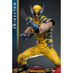 WOLVERINE (DELUXE VERSION) DEADPOOL & WOLVERINE MOVIE MASTERPIECE 1/6 HOT TOYS. Descubre esta magnífica figura Deluxe de Wolverine, de la colección Movie Masterpiece de Hot Toys. Inspirada en la película «Deadpool & Wolverine», esta pieza es una auténtica obra maestra para cualquier coleccionista de productos derivados del universo Marvel. Una fiel representación de Wolverine La figura representa a Wolverine con su icónico traje amarillo y azul, que recuerda los mejores momentos del universo X-Men. La precisión de los detalles de esta figura a escala 1/6 es simplemente impresionante. Con una altura de 31 cm, esta figura captura a la perfección el aura intimidante y el carisma de Logan, alias Wolverine. Características y accesorios Esta versión Deluxe es especialmente rica en detalles y accesorios. La figura viene con varias cabezas intercambiables, incluida una con una máscara completa y otra sin máscara con los rasgos de Hugh Jackman, el icónico actor que interpreta a Wolverine en el cine. Las cabezas cuentan con sistemas de globos oculares móviles para expresiones realistas. Además de las cabezas, esta figura incluye brazos intercambiables, garras desmontables y una armadura de combate desgastada. Los acabados de la ropa, las cicatrices y los detalles musculares son de una calidad excepcional, lo que permite a los fans recrear l Wolverine, conocido como Logan, es uno de los personajes más populares del universo Marvel. Apareció por primera vez en los cómics de la década de 1970 y rápidamente se convirtió en un miembro crucial de los X-Men. Su compleja historia, mezclada con dolor y redención, así como sus garras de adamantio y su rápido factor de curación, lo convierten en un personaje fascinante y formidable. En «Deadpool & Wolverine», Logan sigue mostrando su resistencia y valentía ante el peligro, al tiempo que aporta una profundidad emocional que conmueve a los fans de todas las edades.
