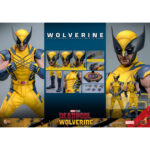 WOLVERINE DEADPOOL & WOLVERINE MOVIE MASTERPIECE 1/6 HOT TOYS. Sumérgete en el universo Marvel con esta excepcional figura de Lobezno, de la película «Deadpool y Lobezno». Fabricada por Hot Toys para la colección Movie Masterpiece, esta figura a escala 1/6 mide 31 cm de altura y ofrece una representación increíblemente detallada de uno de los personajes más emblemáticos del universo Marvel. Wolverine, conocido por sus garras de adamantio y su factor de curación regenerativa, aparece aquí con su icónico traje amarillo, fiel a su aspecto clásico. La figura presenta un impresionante nivel de detalle, desde las texturas realistas del traje hasta las feroces expresiones faciales de Logan. Los accesorios incluidos, como caras intercambiables y garras acoplables, permiten a los coleccionistas personalizar la exposición según sus preferencias. Hot Toys es conocida por sus figuras de alta calidad, y esta versión de Wolverine no es una excepción. Cada aspecto de la figura ha sido meticulosamente esculpido y pintado para capturar la esencia del personaje, desde los músculos definidos hasta los más mínimos detalles de su traje. La postura dinámica de Wolverine, listo para saltar, añade una dimensión de movimiento y energía a esta pieza de coleccionista. La base incluida está decorada con el logotipo de Wolverine y diseños que recuerdan al universo Deadpool, lo que añade un toque extra de realismo y temática. Tanto si eres un fanático de X-Men desde hace mucho tiempo como si eres coleccionista de figuras de Marvel, esta pieza es una valiosa adición a cualquier colección, que celebra el legado perdurable de Wolverine en el universo de los superhéroes.