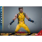 WOLVERINE (DELUXE VERSION) DEADPOOL & WOLVERINE MOVIE MASTERPIECE 1/6 HOT TOYS. Descubre esta magnífica figura Deluxe de Wolverine, de la colección Movie Masterpiece de Hot Toys. Inspirada en la película «Deadpool & Wolverine», esta pieza es una auténtica obra maestra para cualquier coleccionista de productos derivados del universo Marvel. Una fiel representación de Wolverine La figura representa a Wolverine con su icónico traje amarillo y azul, que recuerda los mejores momentos del universo X-Men. La precisión de los detalles de esta figura a escala 1/6 es simplemente impresionante. Con una altura de 31 cm, esta figura captura a la perfección el aura intimidante y el carisma de Logan, alias Wolverine. Características y accesorios Esta versión Deluxe es especialmente rica en detalles y accesorios. La figura viene con varias cabezas intercambiables, incluida una con una máscara completa y otra sin máscara con los rasgos de Hugh Jackman, el icónico actor que interpreta a Wolverine en el cine. Las cabezas cuentan con sistemas de globos oculares móviles para expresiones realistas. Además de las cabezas, esta figura incluye brazos intercambiables, garras desmontables y una armadura de combate desgastada. Los acabados de la ropa, las cicatrices y los detalles musculares son de una calidad excepcional, lo que permite a los fans recrear l Wolverine, conocido como Logan, es uno de los personajes más populares del universo Marvel. Apareció por primera vez en los cómics de la década de 1970 y rápidamente se convirtió en un miembro crucial de los X-Men. Su compleja historia, mezclada con dolor y redención, así como sus garras de adamantio y su rápido factor de curación, lo convierten en un personaje fascinante y formidable. En «Deadpool & Wolverine», Logan sigue mostrando su resistencia y valentía ante el peligro, al tiempo que aporta una profundidad emocional que conmueve a los fans de todas las edades.
