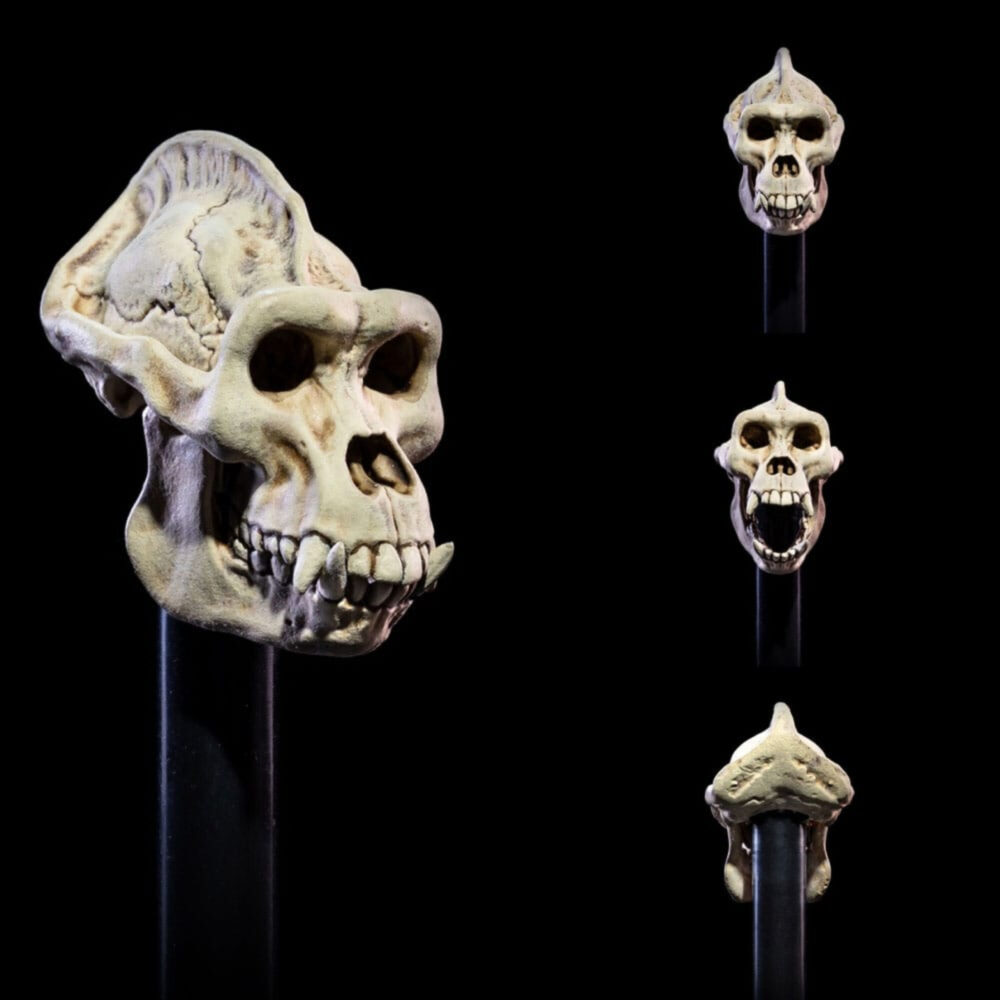 Accesorios para figuras undead heads pack mythic legions all stars. Este pack de cabezas incluye cabezas aptas para clavijas de cuello «1. 0». Incluye 7 cabezas, 5 de las cuales presentan esculturas que debutaron en este set. 5 de estas cabezas son esqueletos pintados en nuestro «color hueso estándar» para facilitar su combinación con otras figuras (skalli y raider) y 2 de las cabezas son zombis pensados para combinar con el «undead builder set» de la serie necronominus. Completan este set 4 piezas de cuello: un esqueleto estándar, un esqueleto de cuello largo, un zombi y el poste de cuello cortado del set headless horseman, también pintado en colores zombi.