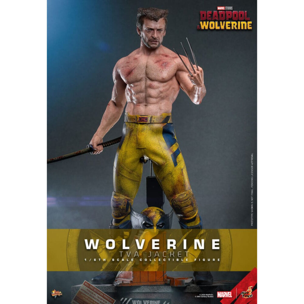 Wolverine (tva jacket version) deadpool & wolverine movie masterpiece 1/6 hot toys. Sumérgete en el universo marvel con esta figura oficial de lobezno (versión tva jacket), que mide aproximadamente 31 cm de altura. Diseñada por hot toys, esta excepcional pieza forma parte de la colección movie masterpiece, famosa por su meticuloso detalle y su impresionante realismo. Esta figura captura con precisión la apariencia de wolverine tal y como aparece en la película «deadpool 3». El rostro, detallado y meticulosamente esculpido, refleja la intensidad y la determinación del personaje. La parte superior del cuerpo, de silicona muscular sin costuras, desde el cuello hasta los brazos, añade un realismo sorprendente a la figura, haciendo visibles todos los músculos y venas. La figura viene con múltiples cabezas intercambiables con ojos móviles, lo que permite una multitud de expresiones y poses dinámicas. Accesorios y características incluidos: caras intercambiables: la figura incluye varias cabezas intercambiables que permiten mostrar diferentes expresiones. Elige entre caras con mirada penetrante o expresiones más feroces, fieles al carácter de lobezno. Traje y equipo: wolverine viste su icónica chaqueta tva y pantalones amarillos, con efectos de desgaste especialmente aplicados para añadir realismo. Hay dos estilos de chaqueta disponibles, con o sin mangas. Articulación y poses: gracias a sus múltiples puntos de articulación, la figura puede adoptar una gran variedad de poses dinámicas. También se incluyen las garras de adamantio características de wolverine, así como una base ajustable temática con efectos de luz alimentados por usb.