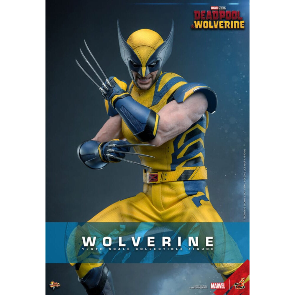 Wolverine deadpool & wolverine movie masterpiece 1/6 hot toys. Sumérgete en el universo marvel con esta excepcional figura de lobezno, de la película «deadpool y lobezno». Fabricada por hot toys para la colección movie masterpiece, esta figura a escala 1/6 mide 31 cm de altura y ofrece una representación increíblemente detallada de uno de los personajes más emblemáticos del universo marvel. Wolverine, conocido por sus garras de adamantio y su factor de curación regenerativa, aparece aquí con su icónico traje amarillo, fiel a su aspecto clásico. La figura presenta un impresionante nivel de detalle, desde las texturas realistas del traje hasta las feroces expresiones faciales de logan. Los accesorios incluidos, como caras intercambiables y garras acoplables, permiten a los coleccionistas personalizar la exposición según sus preferencias. Hot toys es conocida por sus figuras de alta calidad, y esta versión de wolverine no es una excepción. Cada aspecto de la figura ha sido meticulosamente esculpido y pintado para capturar la esencia del personaje, desde los músculos definidos hasta los más mínimos detalles de su traje. La postura dinámica de wolverine, listo para saltar, añade una dimensión de movimiento y energía a esta pieza de coleccionista. La base incluida está decorada con el logotipo de wolverine y diseños que recuerdan al universo deadpool, lo que añade un toque extra de realismo y temática. Tanto si eres un fanático de x-men desde hace mucho tiempo como si eres coleccionista de figuras de marvel, esta pieza es una valiosa adición a cualquier colección, que celebra el legado perdurable de wolverine en el universo de los superhéroes.