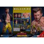 WOLVERINE (TVA JACKET VERSION) DEADPOOL & WOLVERINE MOVIE MASTERPIECE 1/6 HOT TOYS. Sumérgete en el universo Marvel con esta figura oficial de Lobezno (versión TVA Jacket), que mide aproximadamente 31 cm de altura. Diseñada por Hot Toys, esta excepcional pieza forma parte de la colección Movie Masterpiece, famosa por su meticuloso detalle y su impresionante realismo. Esta figura captura con precisión la apariencia de Wolverine tal y como aparece en la película «Deadpool 3». El rostro, detallado y meticulosamente esculpido, refleja la intensidad y la determinación del personaje. La parte superior del cuerpo, de silicona muscular sin costuras, desde el cuello hasta los brazos, añade un realismo sorprendente a la figura, haciendo visibles todos los músculos y venas. La figura viene con múltiples cabezas intercambiables con ojos móviles, lo que permite una multitud de expresiones y poses dinámicas. Accesorios y características incluidos: Caras intercambiables: la figura incluye varias cabezas intercambiables que permiten mostrar diferentes expresiones. Elige entre caras con mirada penetrante o expresiones más feroces, fieles al carácter de Lobezno. Traje y equipo: Wolverine viste su icónica chaqueta TVA y pantalones amarillos, con efectos de desgaste especialmente aplicados para añadir realismo. Hay dos estilos de chaqueta disponibles, con o sin mangas. Articulación y poses: gracias a sus múltiples puntos de articulación, la figura puede adoptar una gran variedad de poses dinámicas. También se incluyen las garras de adamantio características de Wolverine, así como una base ajustable temática con efectos de luz alimentados por USB.