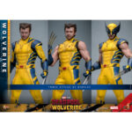 WOLVERINE (DELUXE VERSION) DEADPOOL & WOLVERINE MOVIE MASTERPIECE 1/6 HOT TOYS. Descubre esta magnífica figura Deluxe de Wolverine, de la colección Movie Masterpiece de Hot Toys. Inspirada en la película «Deadpool & Wolverine», esta pieza es una auténtica obra maestra para cualquier coleccionista de productos derivados del universo Marvel. Una fiel representación de Wolverine La figura representa a Wolverine con su icónico traje amarillo y azul, que recuerda los mejores momentos del universo X-Men. La precisión de los detalles de esta figura a escala 1/6 es simplemente impresionante. Con una altura de 31 cm, esta figura captura a la perfección el aura intimidante y el carisma de Logan, alias Wolverine. Características y accesorios Esta versión Deluxe es especialmente rica en detalles y accesorios. La figura viene con varias cabezas intercambiables, incluida una con una máscara completa y otra sin máscara con los rasgos de Hugh Jackman, el icónico actor que interpreta a Wolverine en el cine. Las cabezas cuentan con sistemas de globos oculares móviles para expresiones realistas. Además de las cabezas, esta figura incluye brazos intercambiables, garras desmontables y una armadura de combate desgastada. Los acabados de la ropa, las cicatrices y los detalles musculares son de una calidad excepcional, lo que permite a los fans recrear l Wolverine, conocido como Logan, es uno de los personajes más populares del universo Marvel. Apareció por primera vez en los cómics de la década de 1970 y rápidamente se convirtió en un miembro crucial de los X-Men. Su compleja historia, mezclada con dolor y redención, así como sus garras de adamantio y su rápido factor de curación, lo convierten en un personaje fascinante y formidable. En «Deadpool & Wolverine», Logan sigue mostrando su resistencia y valentía ante el peligro, al tiempo que aporta una profundidad emocional que conmueve a los fans de todas las edades.