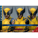 WOLVERINE (DELUXE VERSION) DEADPOOL & WOLVERINE MOVIE MASTERPIECE 1/6 HOT TOYS. Descubre esta magnífica figura Deluxe de Wolverine, de la colección Movie Masterpiece de Hot Toys. Inspirada en la película «Deadpool & Wolverine», esta pieza es una auténtica obra maestra para cualquier coleccionista de productos derivados del universo Marvel. Una fiel representación de Wolverine La figura representa a Wolverine con su icónico traje amarillo y azul, que recuerda los mejores momentos del universo X-Men. La precisión de los detalles de esta figura a escala 1/6 es simplemente impresionante. Con una altura de 31 cm, esta figura captura a la perfección el aura intimidante y el carisma de Logan, alias Wolverine. Características y accesorios Esta versión Deluxe es especialmente rica en detalles y accesorios. La figura viene con varias cabezas intercambiables, incluida una con una máscara completa y otra sin máscara con los rasgos de Hugh Jackman, el icónico actor que interpreta a Wolverine en el cine. Las cabezas cuentan con sistemas de globos oculares móviles para expresiones realistas. Además de las cabezas, esta figura incluye brazos intercambiables, garras desmontables y una armadura de combate desgastada. Los acabados de la ropa, las cicatrices y los detalles musculares son de una calidad excepcional, lo que permite a los fans recrear l Wolverine, conocido como Logan, es uno de los personajes más populares del universo Marvel. Apareció por primera vez en los cómics de la década de 1970 y rápidamente se convirtió en un miembro crucial de los X-Men. Su compleja historia, mezclada con dolor y redención, así como sus garras de adamantio y su rápido factor de curación, lo convierten en un personaje fascinante y formidable. En «Deadpool & Wolverine», Logan sigue mostrando su resistencia y valentía ante el peligro, al tiempo que aporta una profundidad emocional que conmueve a los fans de todas las edades.