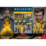 WOLVERINE (DELUXE VERSION) DEADPOOL & WOLVERINE MOVIE MASTERPIECE 1/6 HOT TOYS. Descubre esta magnífica figura Deluxe de Wolverine, de la colección Movie Masterpiece de Hot Toys. Inspirada en la película «Deadpool & Wolverine», esta pieza es una auténtica obra maestra para cualquier coleccionista de productos derivados del universo Marvel. Una fiel representación de Wolverine La figura representa a Wolverine con su icónico traje amarillo y azul, que recuerda los mejores momentos del universo X-Men. La precisión de los detalles de esta figura a escala 1/6 es simplemente impresionante. Con una altura de 31 cm, esta figura captura a la perfección el aura intimidante y el carisma de Logan, alias Wolverine. Características y accesorios Esta versión Deluxe es especialmente rica en detalles y accesorios. La figura viene con varias cabezas intercambiables, incluida una con una máscara completa y otra sin máscara con los rasgos de Hugh Jackman, el icónico actor que interpreta a Wolverine en el cine. Las cabezas cuentan con sistemas de globos oculares móviles para expresiones realistas. Además de las cabezas, esta figura incluye brazos intercambiables, garras desmontables y una armadura de combate desgastada. Los acabados de la ropa, las cicatrices y los detalles musculares son de una calidad excepcional, lo que permite a los fans recrear l Wolverine, conocido como Logan, es uno de los personajes más populares del universo Marvel. Apareció por primera vez en los cómics de la década de 1970 y rápidamente se convirtió en un miembro crucial de los X-Men. Su compleja historia, mezclada con dolor y redención, así como sus garras de adamantio y su rápido factor de curación, lo convierten en un personaje fascinante y formidable. En «Deadpool & Wolverine», Logan sigue mostrando su resistencia y valentía ante el peligro, al tiempo que aporta una profundidad emocional que conmueve a los fans de todas las edades.