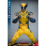 WOLVERINE DEADPOOL & WOLVERINE MOVIE MASTERPIECE 1/6 HOT TOYS. Sumérgete en el universo Marvel con esta excepcional figura de Lobezno, de la película «Deadpool y Lobezno». Fabricada por Hot Toys para la colección Movie Masterpiece, esta figura a escala 1/6 mide 31 cm de altura y ofrece una representación increíblemente detallada de uno de los personajes más emblemáticos del universo Marvel. Wolverine, conocido por sus garras de adamantio y su factor de curación regenerativa, aparece aquí con su icónico traje amarillo, fiel a su aspecto clásico. La figura presenta un impresionante nivel de detalle, desde las texturas realistas del traje hasta las feroces expresiones faciales de Logan. Los accesorios incluidos, como caras intercambiables y garras acoplables, permiten a los coleccionistas personalizar la exposición según sus preferencias. Hot Toys es conocida por sus figuras de alta calidad, y esta versión de Wolverine no es una excepción. Cada aspecto de la figura ha sido meticulosamente esculpido y pintado para capturar la esencia del personaje, desde los músculos definidos hasta los más mínimos detalles de su traje. La postura dinámica de Wolverine, listo para saltar, añade una dimensión de movimiento y energía a esta pieza de coleccionista. La base incluida está decorada con el logotipo de Wolverine y diseños que recuerdan al universo Deadpool, lo que añade un toque extra de realismo y temática. Tanto si eres un fanático de X-Men desde hace mucho tiempo como si eres coleccionista de figuras de Marvel, esta pieza es una valiosa adición a cualquier colección, que celebra el legado perdurable de Wolverine en el universo de los superhéroes.