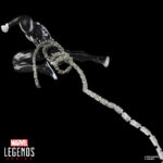 SPIDER-VENOM MARVEL LEGENDS SERIES. Hasbro incorpora a su línea Marvel Legends Series esta figura retro de Spider-Venom, inspirada en los cómics de "Spider-Man" cuando el simbionte Venom vuelve a unirse a su antiguo huésped Peter Parker. La figura mide 15 cm y ofrece más de 20 puntos de articulación para exhibirla en poses dinámicas. Incluye 4x manos alternativas (2x lanzando telarañas y 2x trepamuros), 1x cabeza alternativa y 1x cadena. Presenta un diseño detallado fiel al estilo de los cómics. Se presenta en blíster de estilo retro con arte de colección. UNIDADES LIMITADAS.