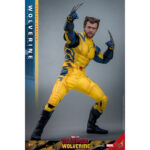 WOLVERINE (DELUXE VERSION) DEADPOOL & WOLVERINE MOVIE MASTERPIECE 1/6 HOT TOYS. Descubre esta magnífica figura Deluxe de Wolverine, de la colección Movie Masterpiece de Hot Toys. Inspirada en la película «Deadpool & Wolverine», esta pieza es una auténtica obra maestra para cualquier coleccionista de productos derivados del universo Marvel. Una fiel representación de Wolverine La figura representa a Wolverine con su icónico traje amarillo y azul, que recuerda los mejores momentos del universo X-Men. La precisión de los detalles de esta figura a escala 1/6 es simplemente impresionante. Con una altura de 31 cm, esta figura captura a la perfección el aura intimidante y el carisma de Logan, alias Wolverine. Características y accesorios Esta versión Deluxe es especialmente rica en detalles y accesorios. La figura viene con varias cabezas intercambiables, incluida una con una máscara completa y otra sin máscara con los rasgos de Hugh Jackman, el icónico actor que interpreta a Wolverine en el cine. Las cabezas cuentan con sistemas de globos oculares móviles para expresiones realistas. Además de las cabezas, esta figura incluye brazos intercambiables, garras desmontables y una armadura de combate desgastada. Los acabados de la ropa, las cicatrices y los detalles musculares son de una calidad excepcional, lo que permite a los fans recrear l Wolverine, conocido como Logan, es uno de los personajes más populares del universo Marvel. Apareció por primera vez en los cómics de la década de 1970 y rápidamente se convirtió en un miembro crucial de los X-Men. Su compleja historia, mezclada con dolor y redención, así como sus garras de adamantio y su rápido factor de curación, lo convierten en un personaje fascinante y formidable. En «Deadpool & Wolverine», Logan sigue mostrando su resistencia y valentía ante el peligro, al tiempo que aporta una profundidad emocional que conmueve a los fans de todas las edades.