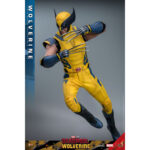 WOLVERINE DEADPOOL & WOLVERINE MOVIE MASTERPIECE 1/6 HOT TOYS. Sumérgete en el universo Marvel con esta excepcional figura de Lobezno, de la película «Deadpool y Lobezno». Fabricada por Hot Toys para la colección Movie Masterpiece, esta figura a escala 1/6 mide 31 cm de altura y ofrece una representación increíblemente detallada de uno de los personajes más emblemáticos del universo Marvel. Wolverine, conocido por sus garras de adamantio y su factor de curación regenerativa, aparece aquí con su icónico traje amarillo, fiel a su aspecto clásico. La figura presenta un impresionante nivel de detalle, desde las texturas realistas del traje hasta las feroces expresiones faciales de Logan. Los accesorios incluidos, como caras intercambiables y garras acoplables, permiten a los coleccionistas personalizar la exposición según sus preferencias. Hot Toys es conocida por sus figuras de alta calidad, y esta versión de Wolverine no es una excepción. Cada aspecto de la figura ha sido meticulosamente esculpido y pintado para capturar la esencia del personaje, desde los músculos definidos hasta los más mínimos detalles de su traje. La postura dinámica de Wolverine, listo para saltar, añade una dimensión de movimiento y energía a esta pieza de coleccionista. La base incluida está decorada con el logotipo de Wolverine y diseños que recuerdan al universo Deadpool, lo que añade un toque extra de realismo y temática. Tanto si eres un fanático de X-Men desde hace mucho tiempo como si eres coleccionista de figuras de Marvel, esta pieza es una valiosa adición a cualquier colección, que celebra el legado perdurable de Wolverine en el universo de los superhéroes.