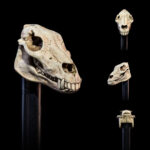 ACCESORIOS PARA FIGURAS UNDEAD HEADS PACK MYTHIC LEGIONS ALL STARS. Este pack de cabezas incluye cabezas aptas para clavijas de cuello «1.0». Incluye 7 cabezas, 5 de las cuales presentan esculturas que debutaron en este set. 5 de estas cabezas son esqueletos pintados en nuestro «color hueso estándar» para facilitar su combinación con otras figuras (Skalli y Raider) y 2 de las cabezas son zombis pensados para combinar con el «Undead Builder Set» de la serie Necronominus. Completan este set 4 piezas de cuello: un esqueleto estándar, un esqueleto de cuello largo, un zombi y el poste de cuello cortado del set Headless Horseman, también pintado en colores zombi.