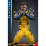 WOLVERINE (DELUXE VERSION) DEADPOOL & WOLVERINE MOVIE MASTERPIECE 1/6 HOT TOYS. Descubre esta magnífica figura Deluxe de Wolverine, de la colección Movie Masterpiece de Hot Toys. Inspirada en la película «Deadpool & Wolverine», esta pieza es una auténtica obra maestra para cualquier coleccionista de productos derivados del universo Marvel. Una fiel representación de Wolverine La figura representa a Wolverine con su icónico traje amarillo y azul, que recuerda los mejores momentos del universo X-Men. La precisión de los detalles de esta figura a escala 1/6 es simplemente impresionante. Con una altura de 31 cm, esta figura captura a la perfección el aura intimidante y el carisma de Logan, alias Wolverine. Características y accesorios Esta versión Deluxe es especialmente rica en detalles y accesorios. La figura viene con varias cabezas intercambiables, incluida una con una máscara completa y otra sin máscara con los rasgos de Hugh Jackman, el icónico actor que interpreta a Wolverine en el cine. Las cabezas cuentan con sistemas de globos oculares móviles para expresiones realistas. Además de las cabezas, esta figura incluye brazos intercambiables, garras desmontables y una armadura de combate desgastada. Los acabados de la ropa, las cicatrices y los detalles musculares son de una calidad excepcional, lo que permite a los fans recrear l Wolverine, conocido como Logan, es uno de los personajes más populares del universo Marvel. Apareció por primera vez en los cómics de la década de 1970 y rápidamente se convirtió en un miembro crucial de los X-Men. Su compleja historia, mezclada con dolor y redención, así como sus garras de adamantio y su rápido factor de curación, lo convierten en un personaje fascinante y formidable. En «Deadpool & Wolverine», Logan sigue mostrando su resistencia y valentía ante el peligro, al tiempo que aporta una profundidad emocional que conmueve a los fans de todas las edades.