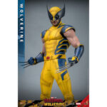 WOLVERINE DEADPOOL & WOLVERINE MOVIE MASTERPIECE 1/6 HOT TOYS. Sumérgete en el universo Marvel con esta excepcional figura de Lobezno, de la película «Deadpool y Lobezno». Fabricada por Hot Toys para la colección Movie Masterpiece, esta figura a escala 1/6 mide 31 cm de altura y ofrece una representación increíblemente detallada de uno de los personajes más emblemáticos del universo Marvel. Wolverine, conocido por sus garras de adamantio y su factor de curación regenerativa, aparece aquí con su icónico traje amarillo, fiel a su aspecto clásico. La figura presenta un impresionante nivel de detalle, desde las texturas realistas del traje hasta las feroces expresiones faciales de Logan. Los accesorios incluidos, como caras intercambiables y garras acoplables, permiten a los coleccionistas personalizar la exposición según sus preferencias. Hot Toys es conocida por sus figuras de alta calidad, y esta versión de Wolverine no es una excepción. Cada aspecto de la figura ha sido meticulosamente esculpido y pintado para capturar la esencia del personaje, desde los músculos definidos hasta los más mínimos detalles de su traje. La postura dinámica de Wolverine, listo para saltar, añade una dimensión de movimiento y energía a esta pieza de coleccionista. La base incluida está decorada con el logotipo de Wolverine y diseños que recuerdan al universo Deadpool, lo que añade un toque extra de realismo y temática. Tanto si eres un fanático de X-Men desde hace mucho tiempo como si eres coleccionista de figuras de Marvel, esta pieza es una valiosa adición a cualquier colección, que celebra el legado perdurable de Wolverine en el universo de los superhéroes.