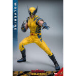 WOLVERINE DEADPOOL & WOLVERINE MOVIE MASTERPIECE 1/6 HOT TOYS. Sumérgete en el universo Marvel con esta excepcional figura de Lobezno, de la película «Deadpool y Lobezno». Fabricada por Hot Toys para la colección Movie Masterpiece, esta figura a escala 1/6 mide 31 cm de altura y ofrece una representación increíblemente detallada de uno de los personajes más emblemáticos del universo Marvel. Wolverine, conocido por sus garras de adamantio y su factor de curación regenerativa, aparece aquí con su icónico traje amarillo, fiel a su aspecto clásico. La figura presenta un impresionante nivel de detalle, desde las texturas realistas del traje hasta las feroces expresiones faciales de Logan. Los accesorios incluidos, como caras intercambiables y garras acoplables, permiten a los coleccionistas personalizar la exposición según sus preferencias. Hot Toys es conocida por sus figuras de alta calidad, y esta versión de Wolverine no es una excepción. Cada aspecto de la figura ha sido meticulosamente esculpido y pintado para capturar la esencia del personaje, desde los músculos definidos hasta los más mínimos detalles de su traje. La postura dinámica de Wolverine, listo para saltar, añade una dimensión de movimiento y energía a esta pieza de coleccionista. La base incluida está decorada con el logotipo de Wolverine y diseños que recuerdan al universo Deadpool, lo que añade un toque extra de realismo y temática. Tanto si eres un fanático de X-Men desde hace mucho tiempo como si eres coleccionista de figuras de Marvel, esta pieza es una valiosa adición a cualquier colección, que celebra el legado perdurable de Wolverine en el universo de los superhéroes.