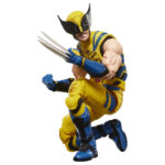 WOLVERINE DEADPOOL & WOLVERINE MARVEL LEGENDS SERIES. figura Marvel coleccionable tiene una escala de 15 cm