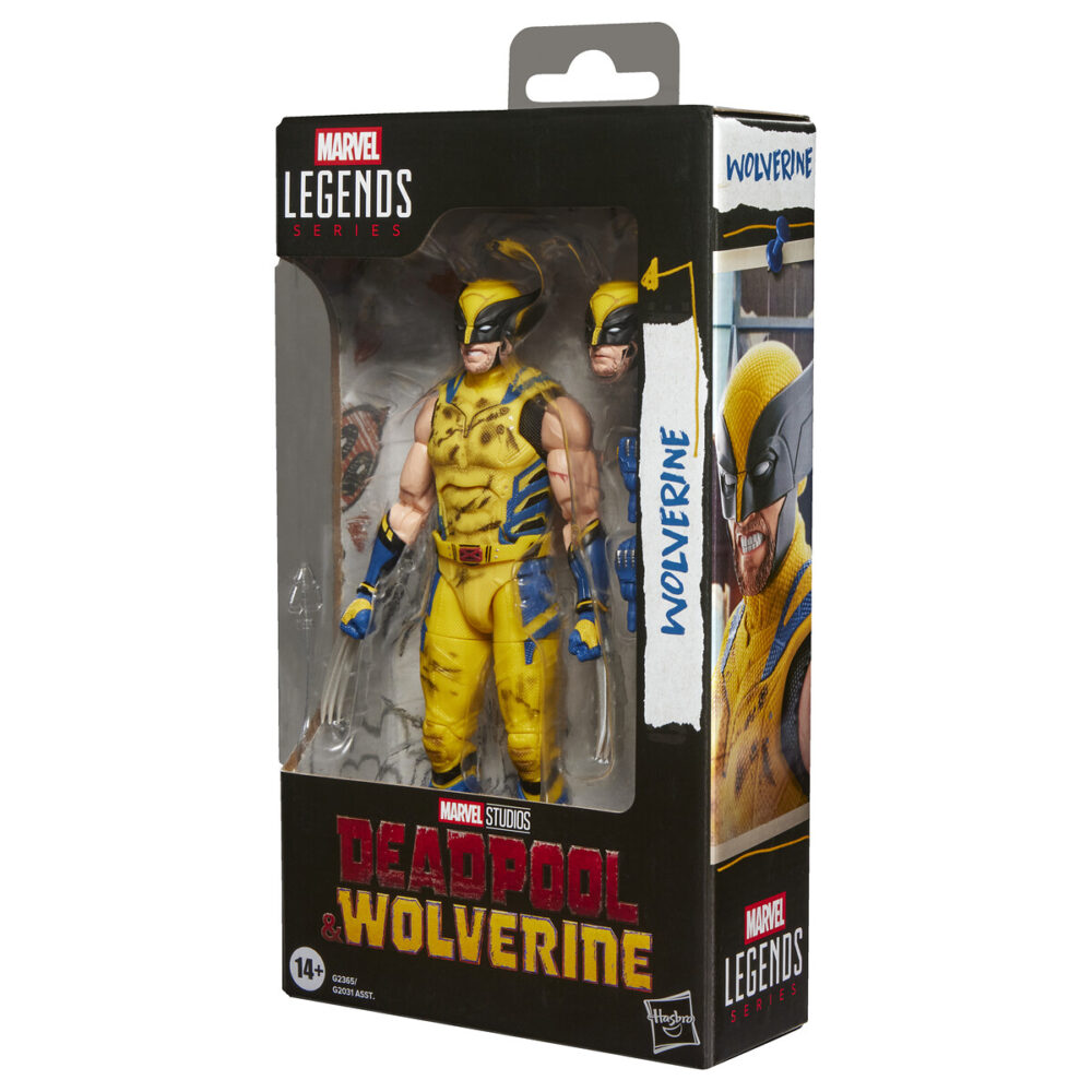 WOLVERINE DEADPOOL & WOLVERINE MARVEL LEGENDS SERIES. figura Marvel coleccionable tiene una escala de 15 cm